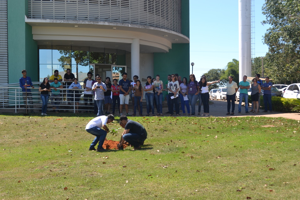 No Tributo Postumo em Gurupi, um ipê foi plantado próximo ao bloco Bala (Foto: João Henrique Luz/Divulgação)