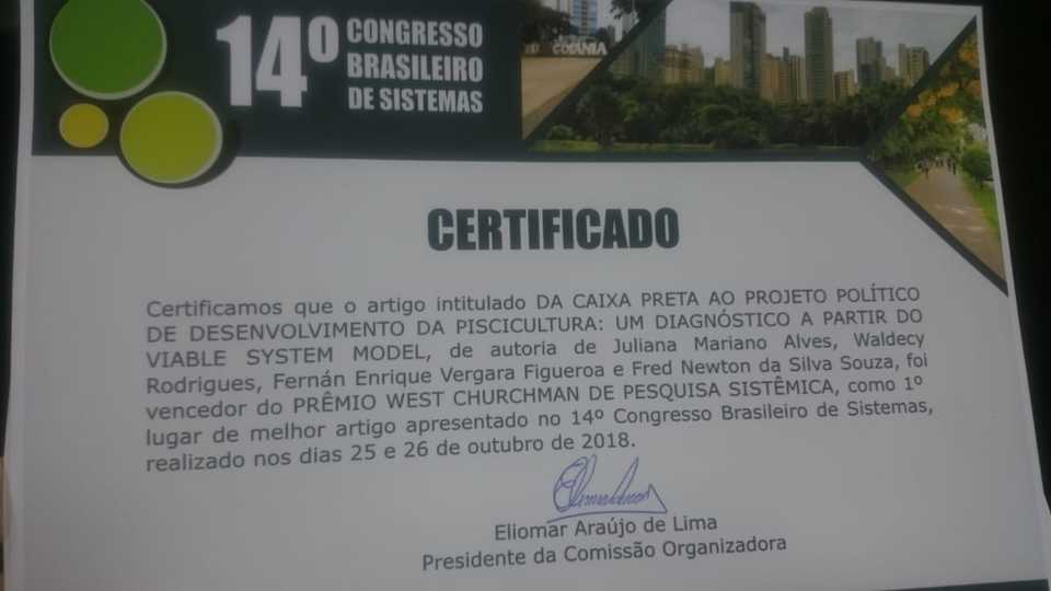 Certificado conferido a Juliana (Divulgação)