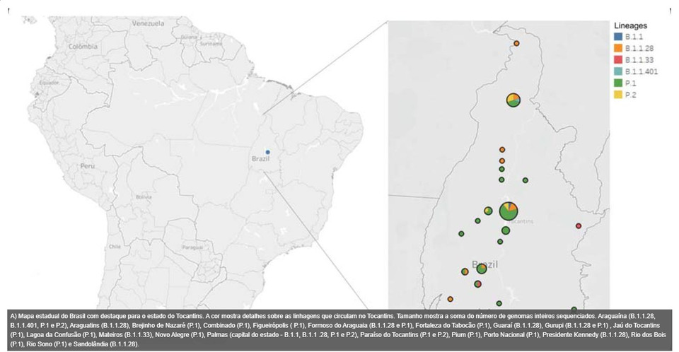 Variante Gamma no Tocantins (reprodução Revista bioRxiv)