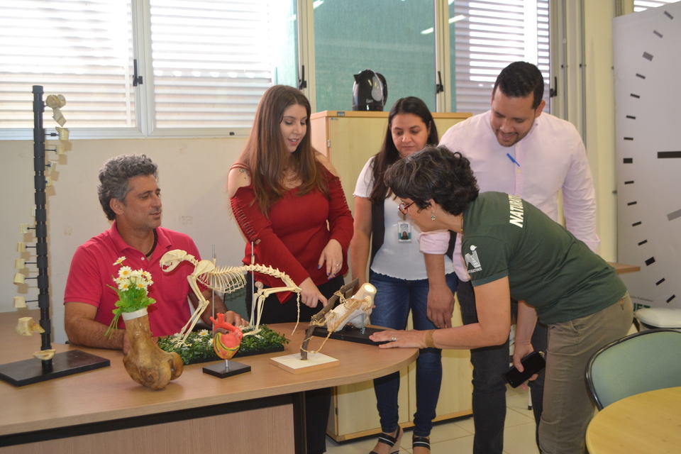 Equipe técnica do Naturatins durante visita ao laboratório de anatomia da UFT (Foto: Virgínia Magrin)