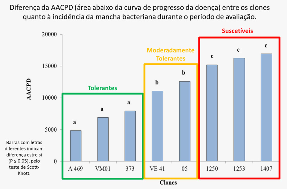 O gráfico apresenta o resultado do trabalho (Ilustração: Divulgação)