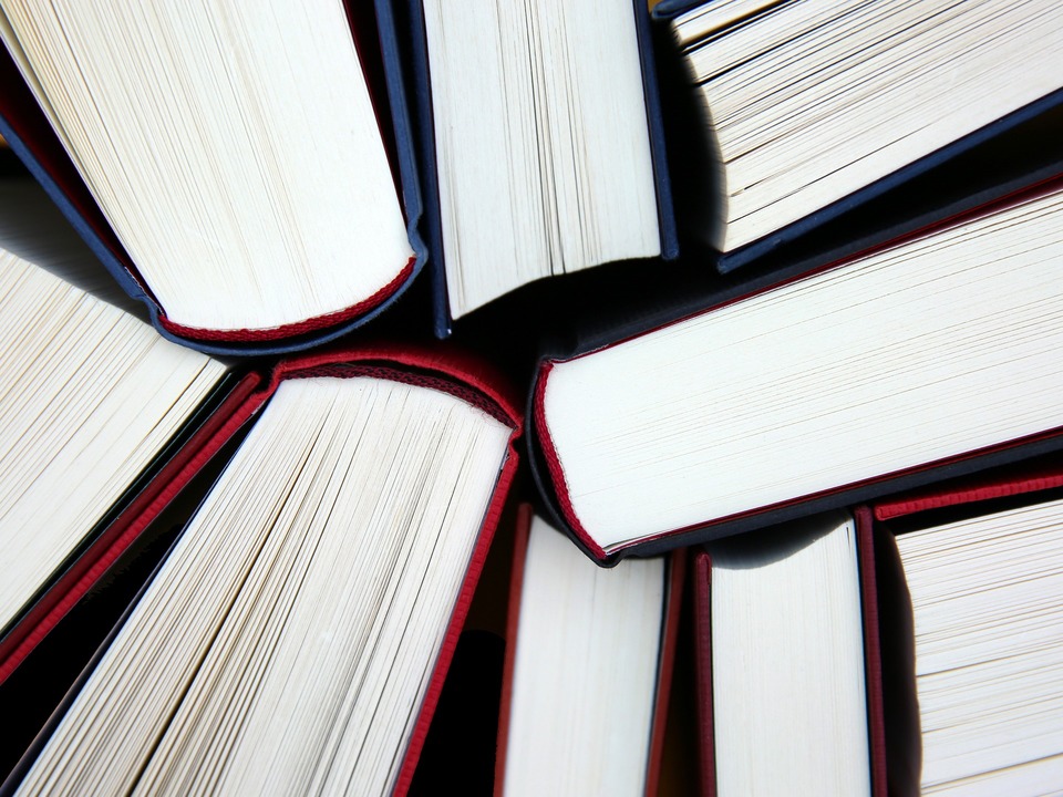 Livros Educação (Foto: Pixabay)