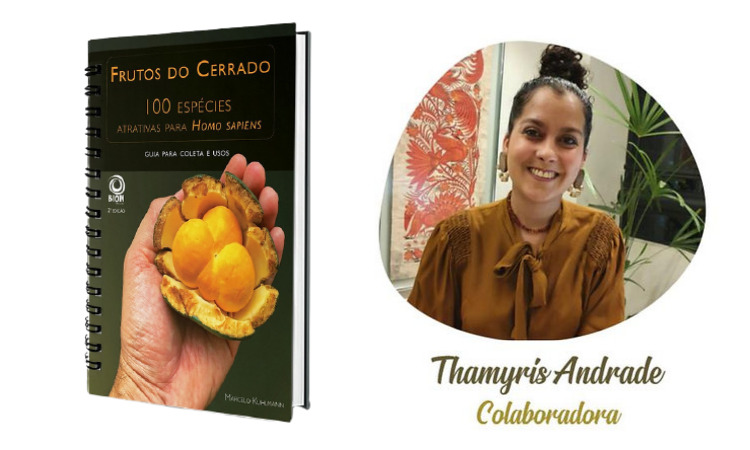 Livro Frutos do Cerrado, com colaboração da professora Thamyris Andrade (Fotos: divulgação)