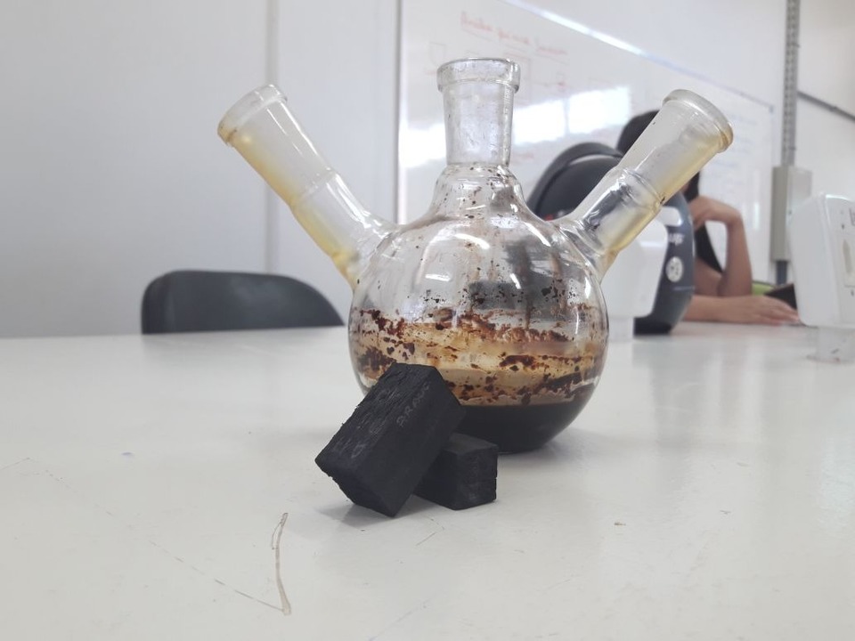 Bio-óleo 