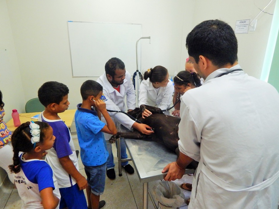 Crianças puderam participar das unidades demonstrativas com animais (Foto: Daianni Parreira/HDT-UFT)