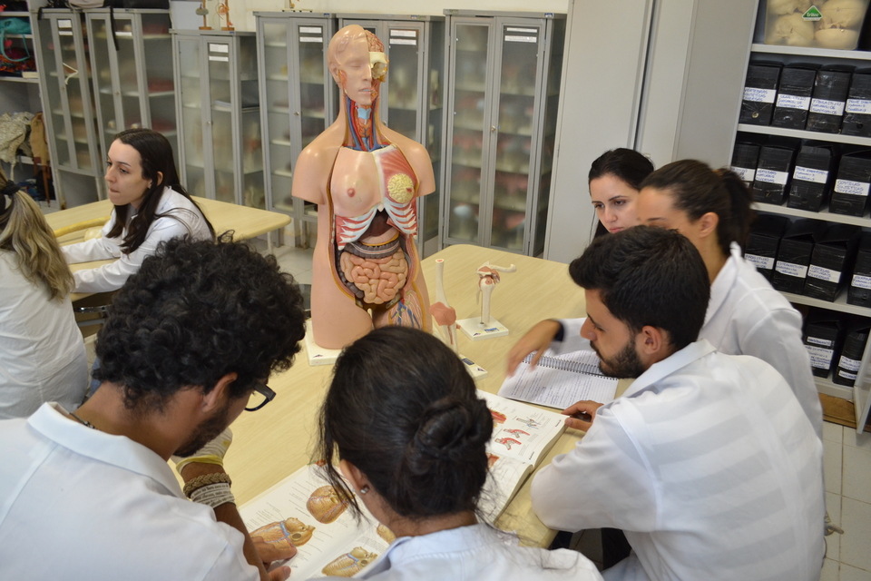 Alunos de Medicina da UFT durante aula de Anatomia (Foto: Daniel dos Santos/Dicom)