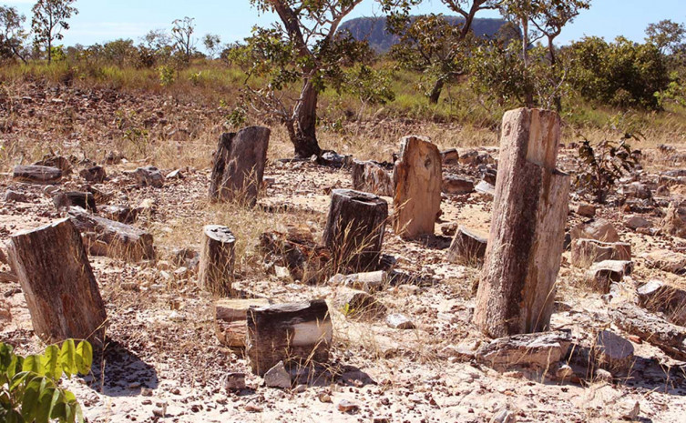 Floresta fossilizada fica no município de Filadélfia, norte do Tocantins (Foto: Carlos Eller/Governo do Tocantins)