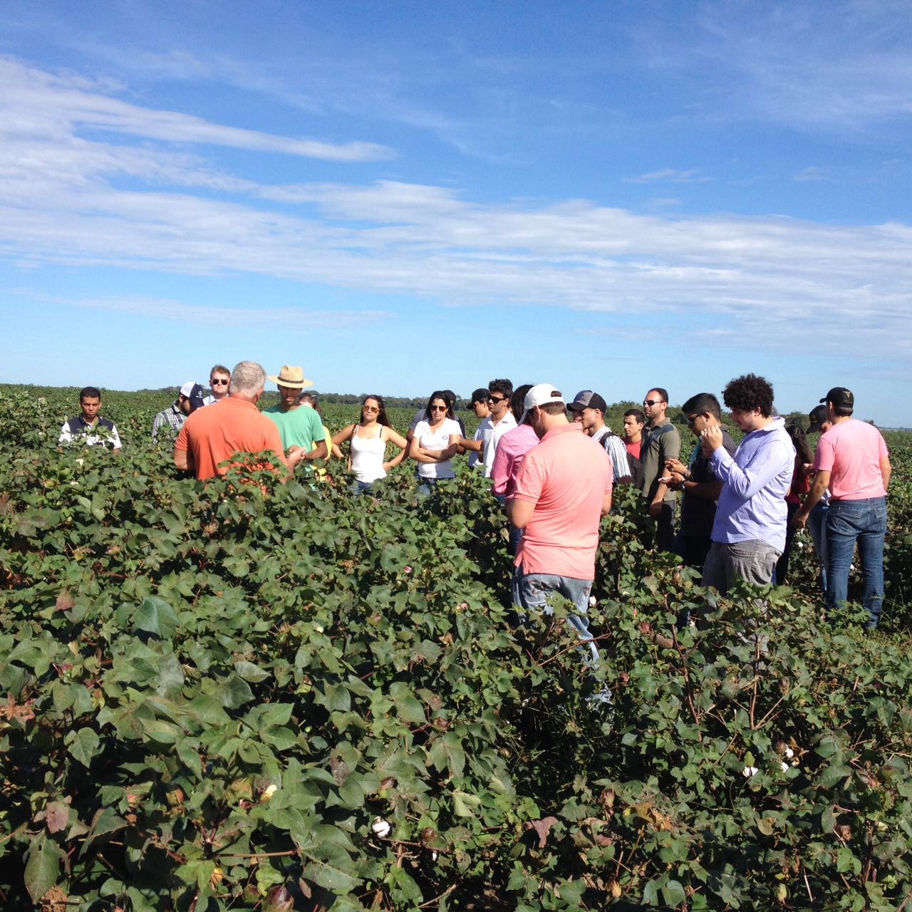 Estudantes de Agronomia têm grande absorção pelo mercado e podem seguir no mestrado e doutorado na própria instituição (Foto: Arquivo UFT)