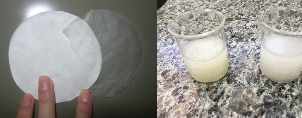 Nanofibras de Celulose 