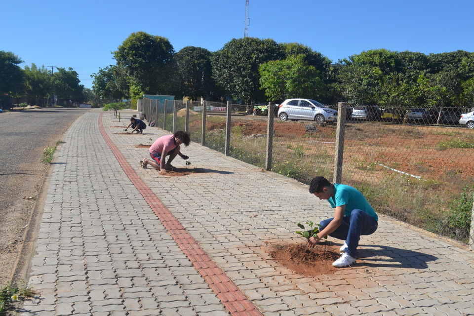 Em Miracema, plantio ocorreu tanto no entorno do câmpus quanto em áreas internas (Foto: Rodrigo Mamédio/Divulgação)