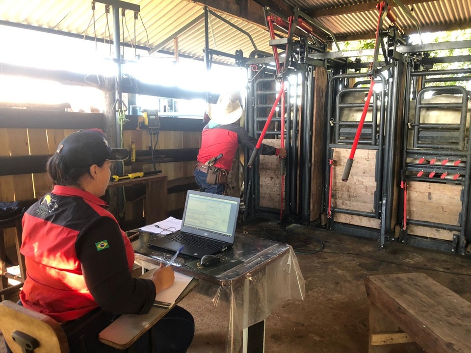 Projetos desenvolvidos com os residentes ajudam a minimizar impactos ao meio ambiente (Foto: Fapto/divulgação)