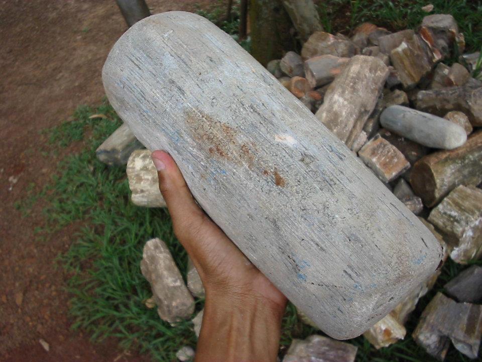 Tronco de árvore fossilizada, apreendida na delegacia da PF em Araguaína, em 1999 (Foto Samuel Lima/Acervo Pessoal)