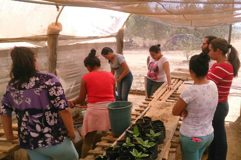 Extensionistas do projeto Descolonizando nossas áreas verdes plantando sementes das mudas doadas pela líder quilombola da Ilha de São Vicente 