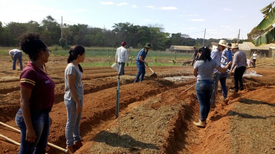 Projeto visa fortalecer a agricultura familiar na região Sul do Tocantins (Foto: Divulgação)