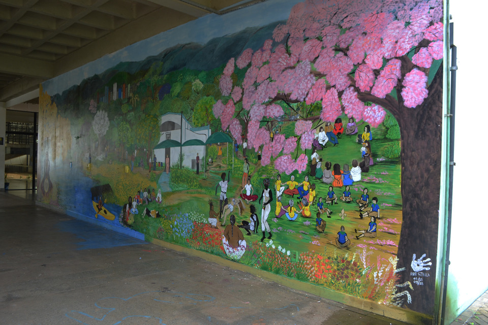 Mural foi pintado numa das paredes do hall da Biblioteca Central de Palmas (Foto: Elini Oliveira/Sucom)