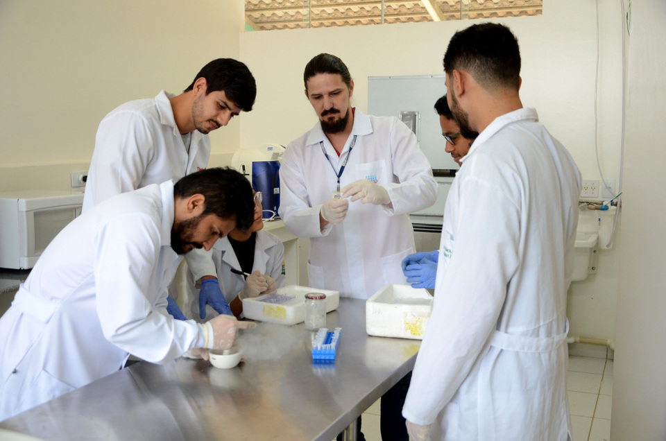 Pesquisadores da UFT trabalharam no desenvolvimento do kit de detecção do vírus Zika (Foto: Antonio Gonçalves / Governo do Tocantins)