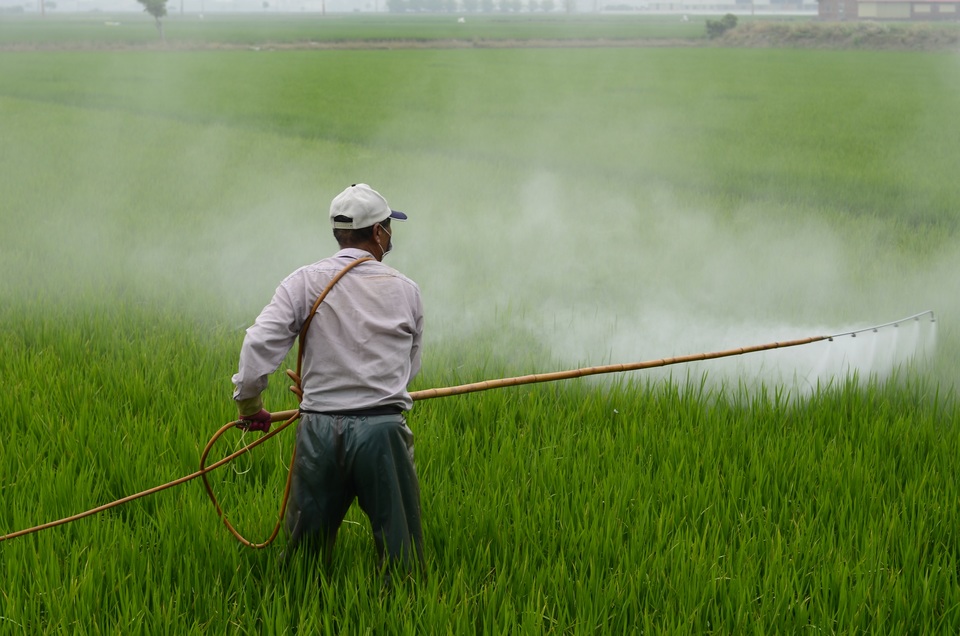Aplicação de herbicida em plantação de arroz (Foto Ilustrativa: Pixabay CC0)