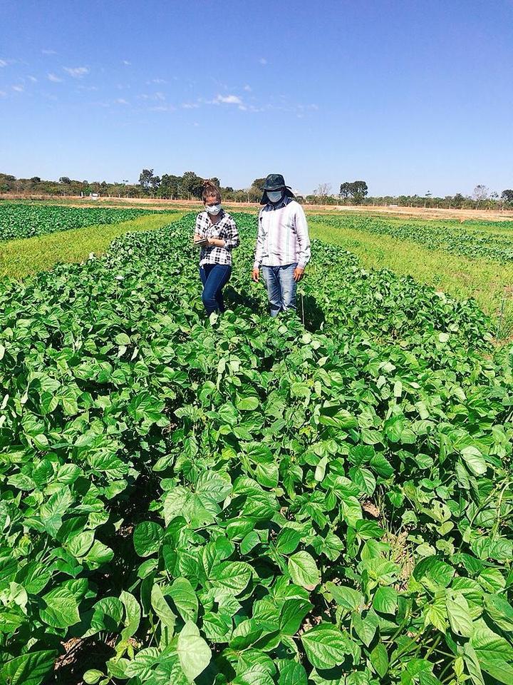 Alunos do curso de Agronomia, em campo.