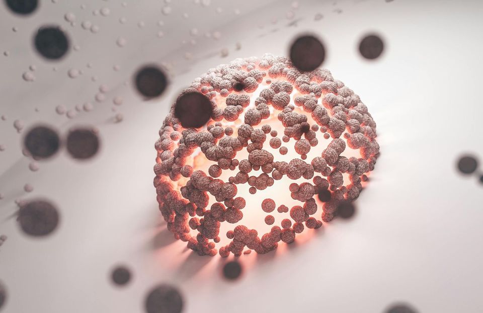 Biorreator com cesto poroso para uso em reações com células e enzimas imobilizadas.