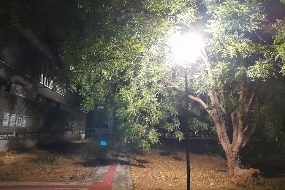 Foto noturna de uma calçada iluminada por um poste que fica ao lado de uma árvore