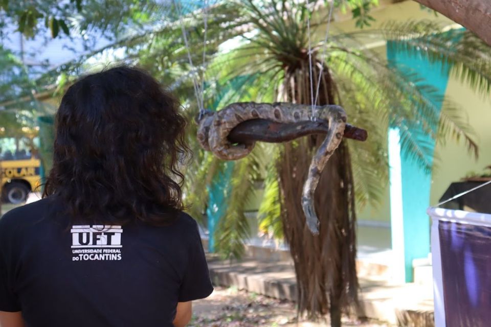 V Mostra de Morfologia da UFT reúne ciência, inclusão e encantamento no Câmpus de Palmas