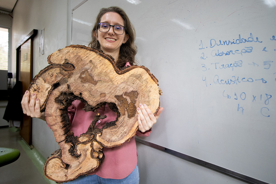 Comemoração do Dia do Servidor Público contará com cerimônia especial no Câmpus de Gurupi