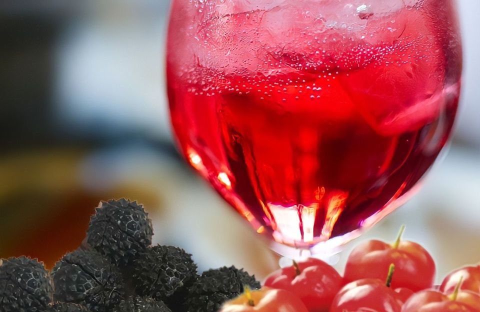 Desenvolvimento de Bebida Alcoólica Fermentada a partir de Mutamba (Guazuma Ulmifolia) e Acerola (Malpighia Emarginata D.C)
