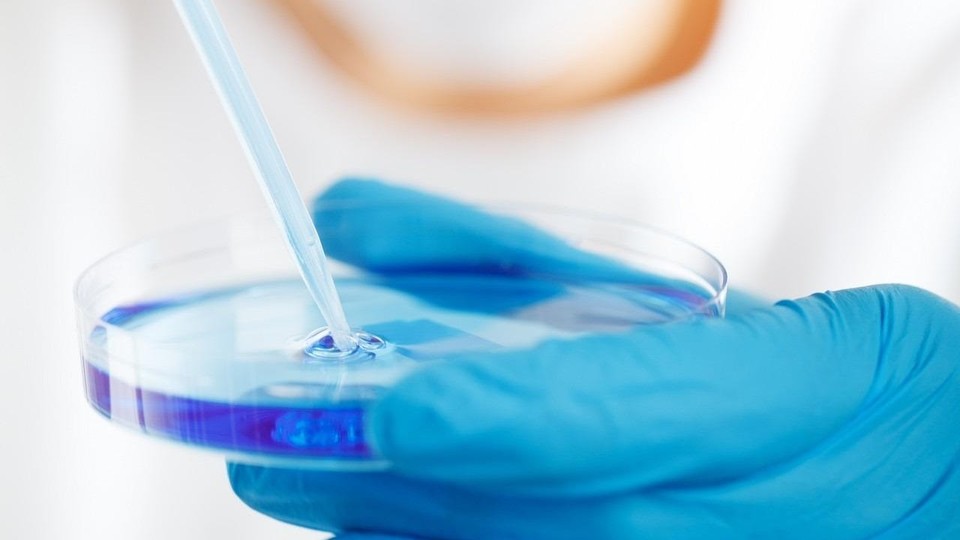 Projeto de Bioprospecção liderado pela UFT conquista R$ 3,1 milhões da Financiadora de Estudos e Pesquisa (Finep)