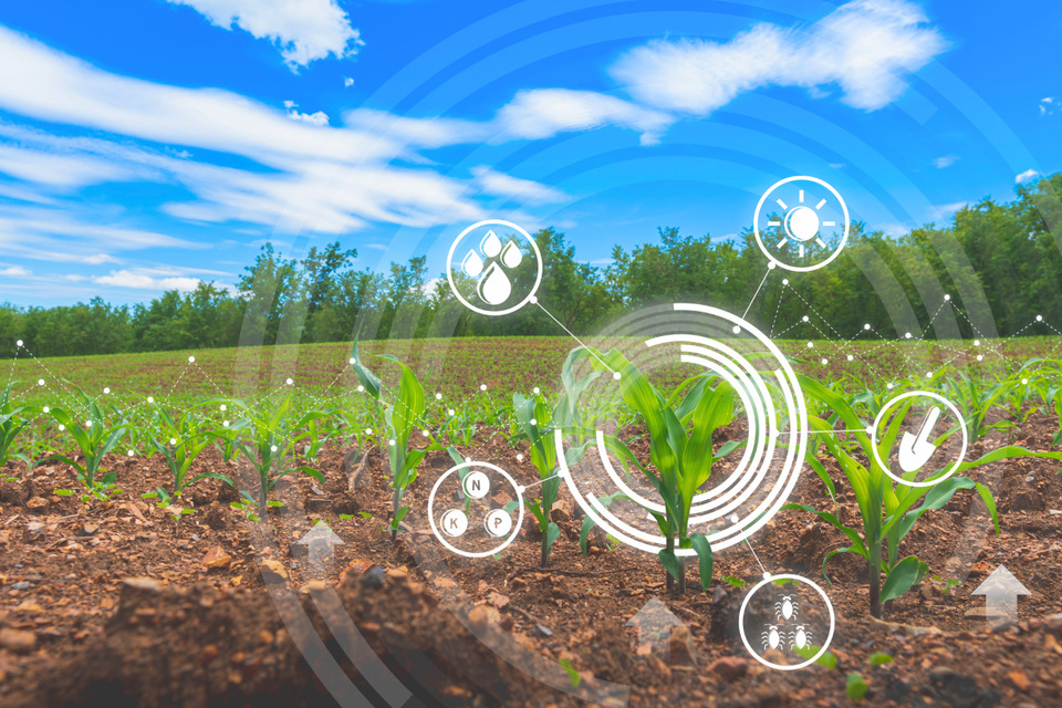 Mestrado Acadêmico em Agroenergia Digital da UFT/2026 abre inscrições