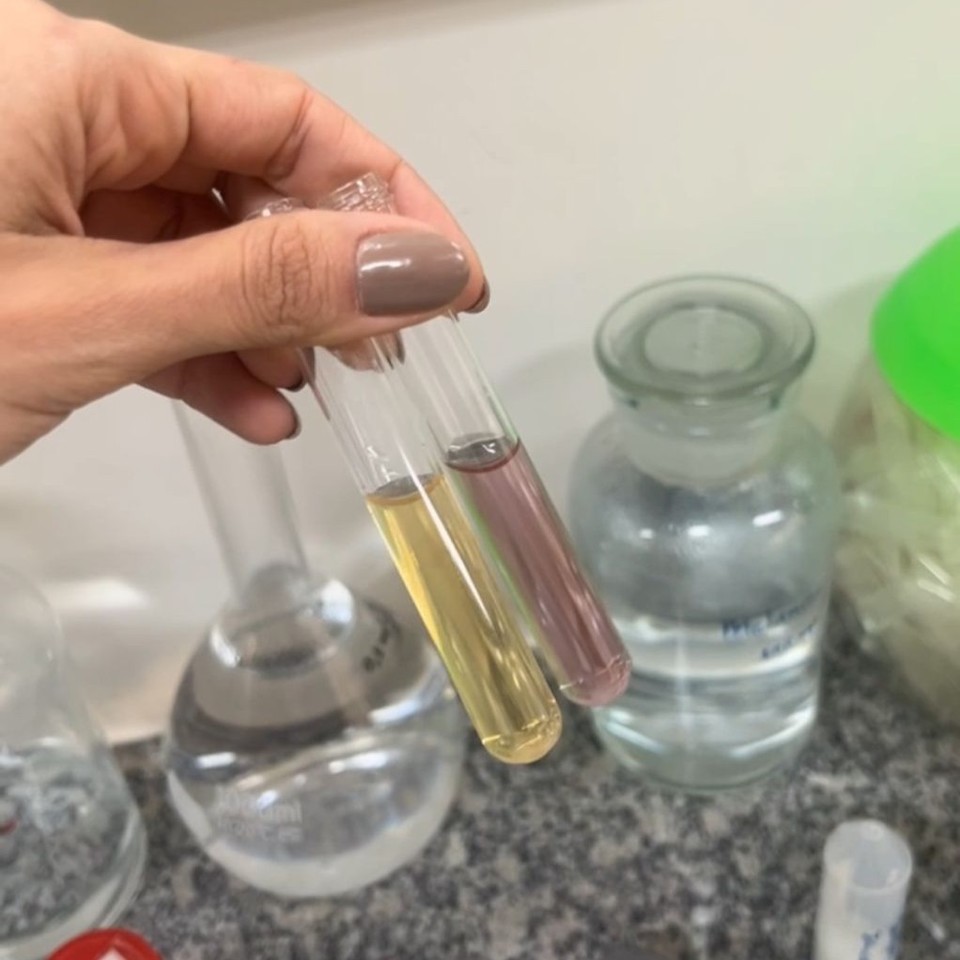 Frascos com metanol (mais amarelado, à esquerda) e etanol (álcool combustível, mais avermelhado) (Foto: Divulgação/Fabíola Almeida Bezerra)