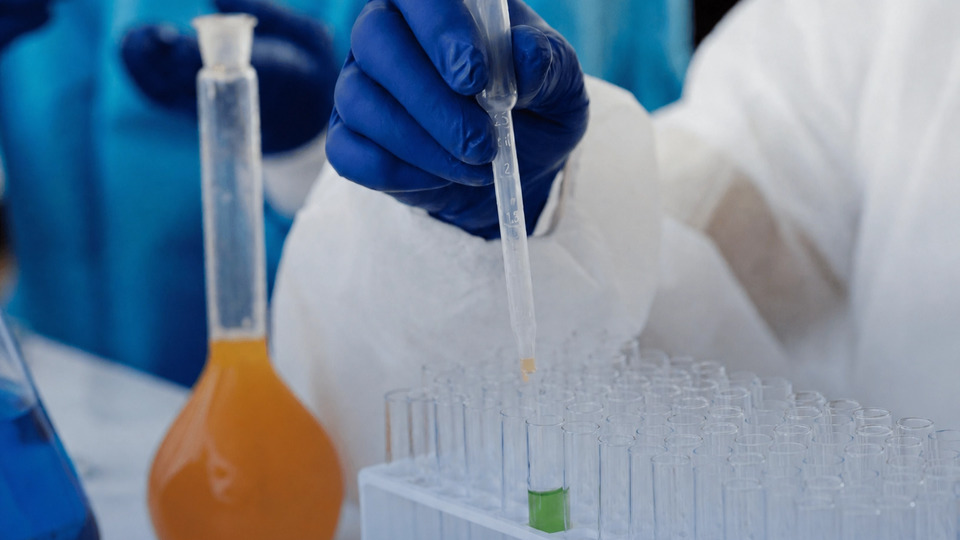 Projeto ligado à Unidade Embrapii da UFT em parceria com a Biofarming seleciona bolsistas de Iniciação Científica