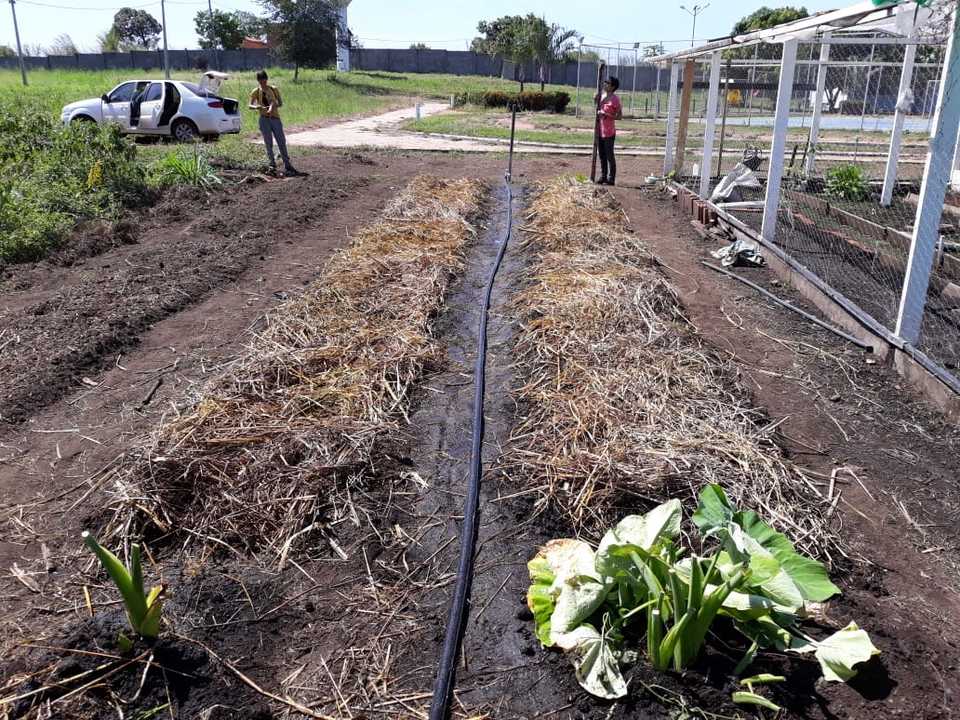 Projetos da UFT sobre Agroecologia e Produção Orgânica recebem aprovação em Chamada do CNPq