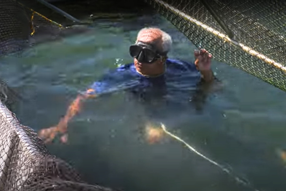 Documentário produzido por pesquisadora do Gespol/UFT joga luz sobre o trabalho e os desafios de pescadores do Tocantins