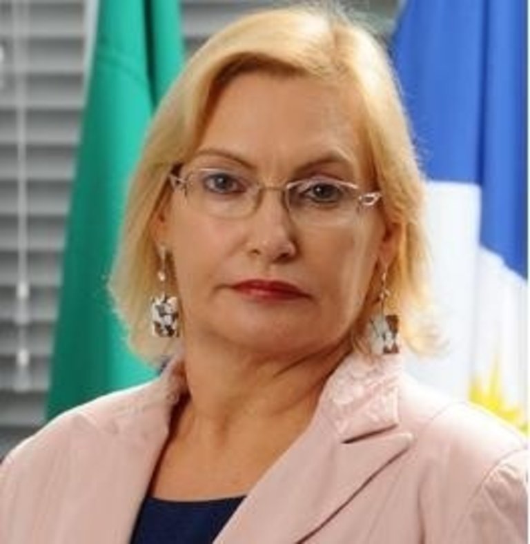 Vera Nilva (Foto: Divulgação)