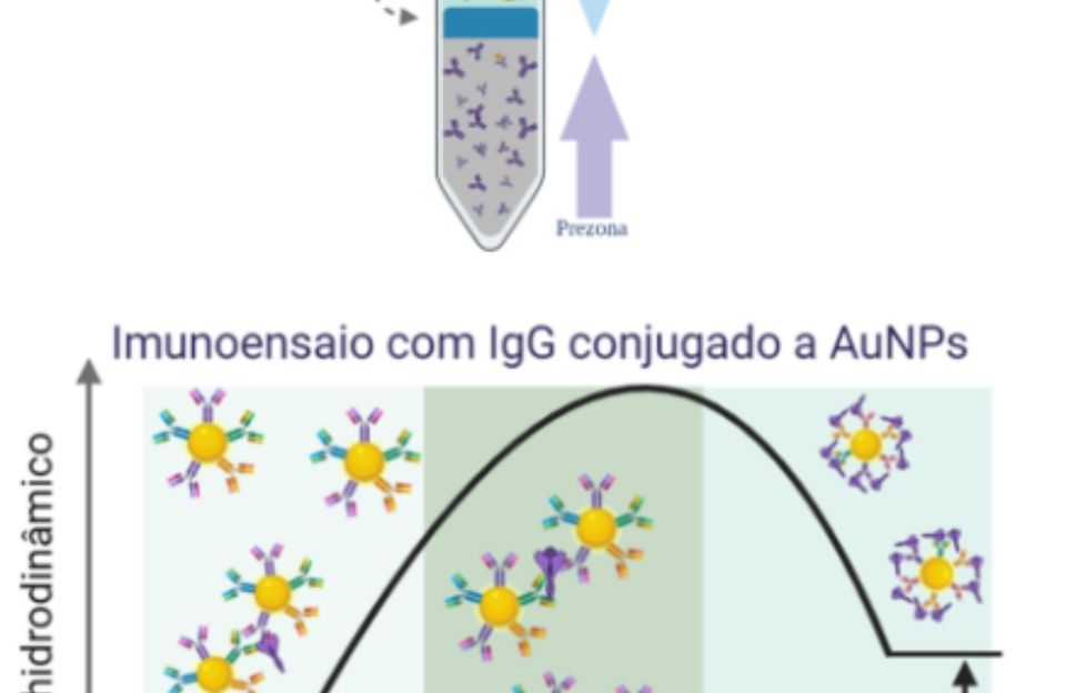 Método de preparação de Biossensor para Imunoensaio Rápido e Método de Detecção de SARS-COV-2 por Imunoensaio Rápido