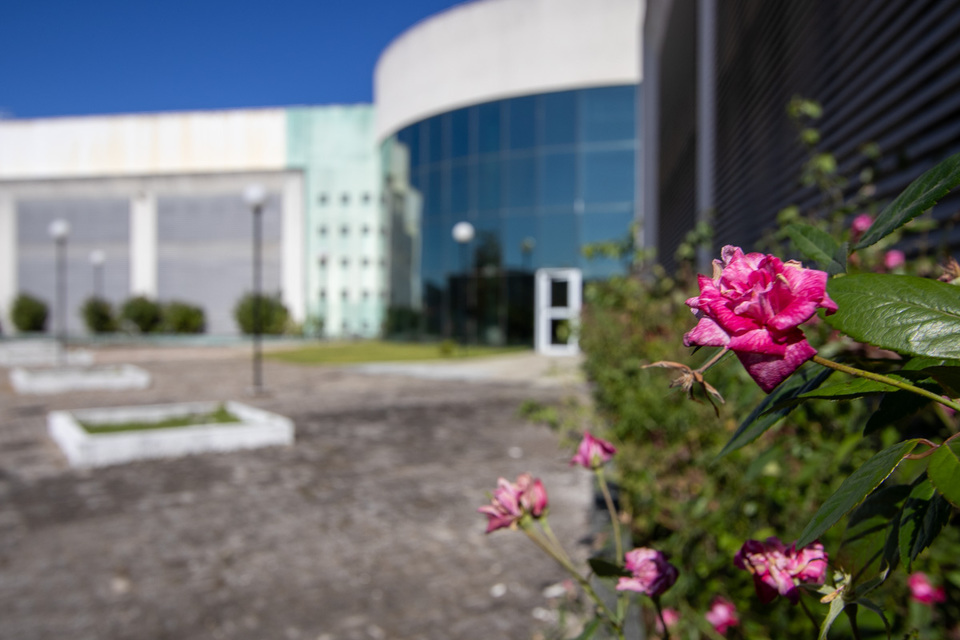 Incubadora Criative-se promove o 1º Encontro de Economia Criativa das Serras Gerais no Câmpus de Arraias