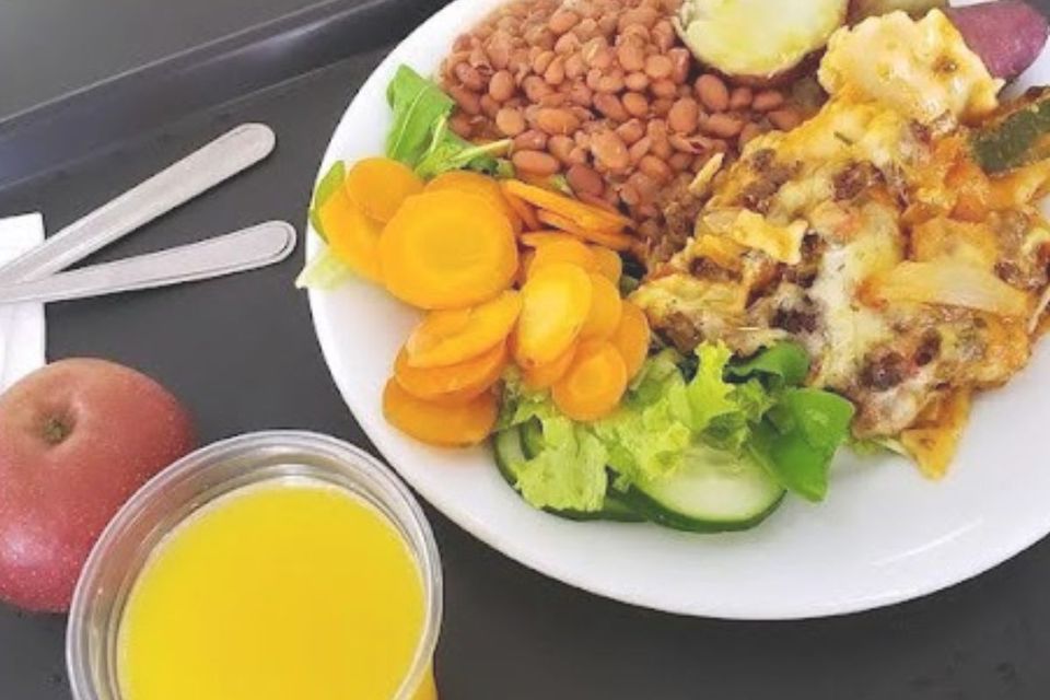 Curso de Nutrição realiza I Mostra das Ações Curriculares de Extensão no Câmpus de Palmas