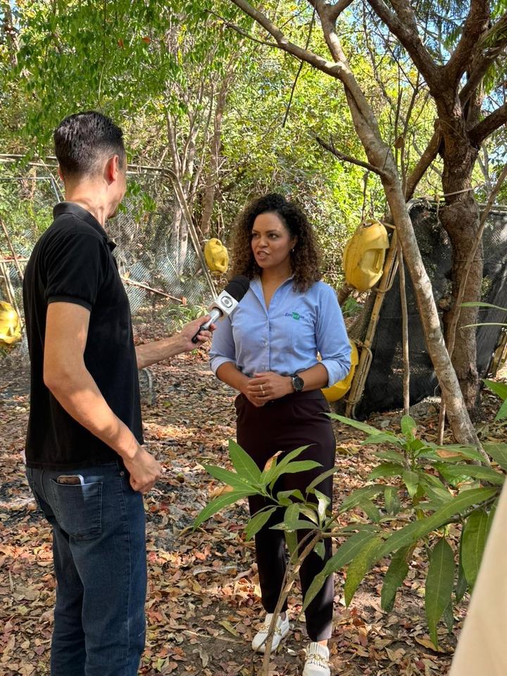 Doutorado da UFT oferece experiência prática em gestão pública