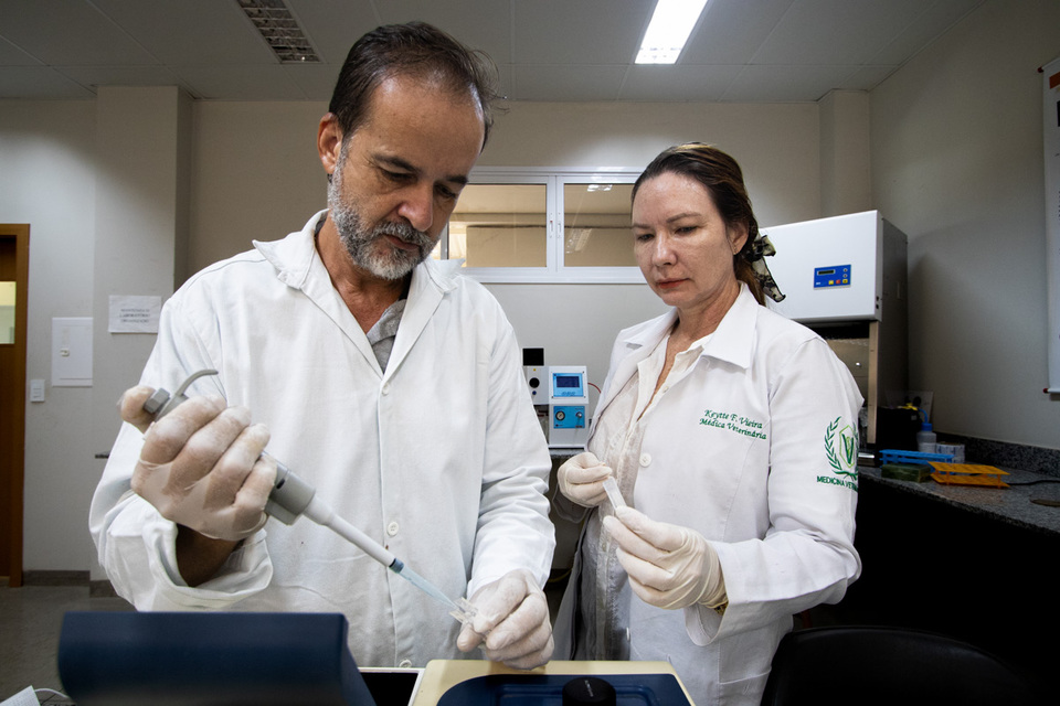 Inscrições abertas para Doutorado em Ciência e Tecnologia de Alimentos