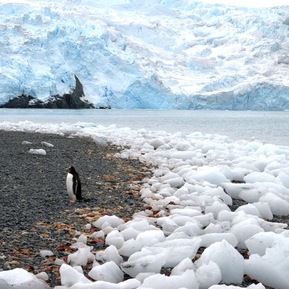 2.Pesquisadores da UFT integram expedição científica na Antártica (Foto: Raphael Pimenta/arquivo pessoal)
