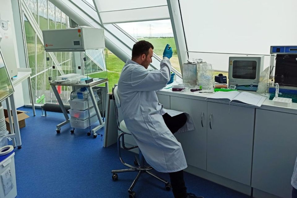 Renato Nunes fazendo análise de algum material em um laboratório