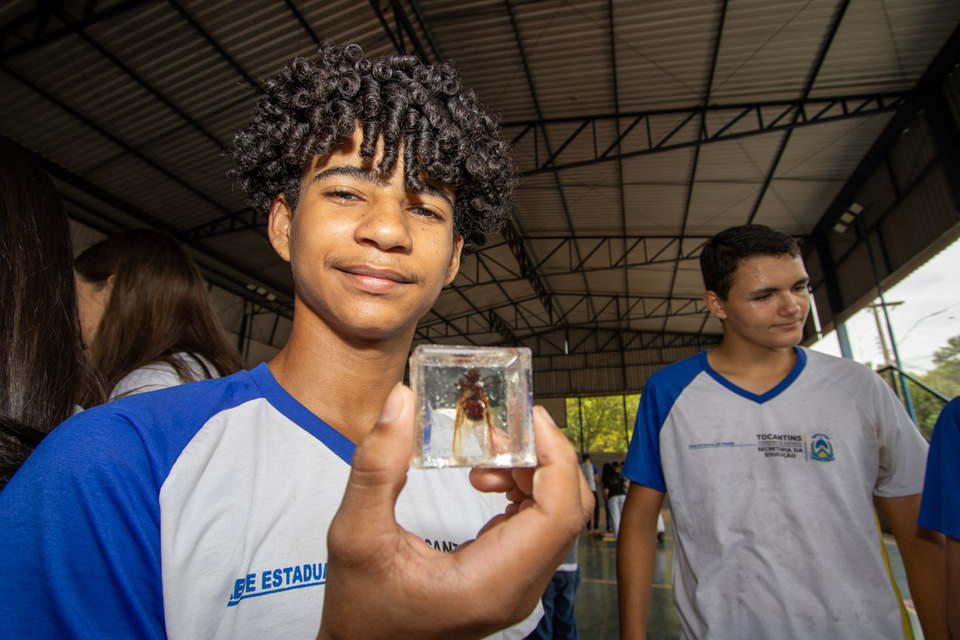 menino com uniforme escolar segura um inseto conservado