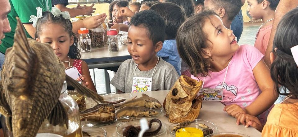 Conhecimento que atravessa distâncias: "Coleções Biológicas" chegam às escolas de Ponte Alta do Tocantins