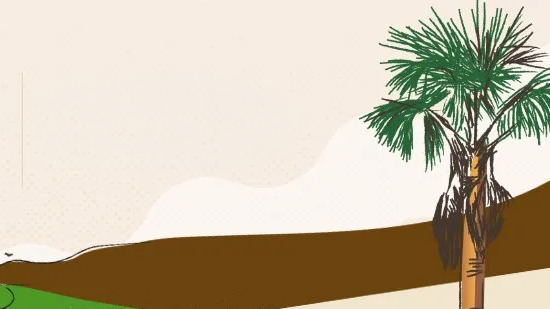 UFT promove a sexta edição do Seminário de Arte, Educação e Psicologia, em Palmas, maio de 2026