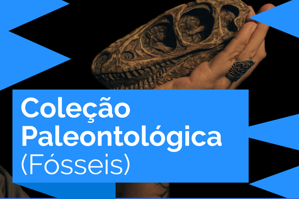 Coleção Paleontológica (Fósseis)