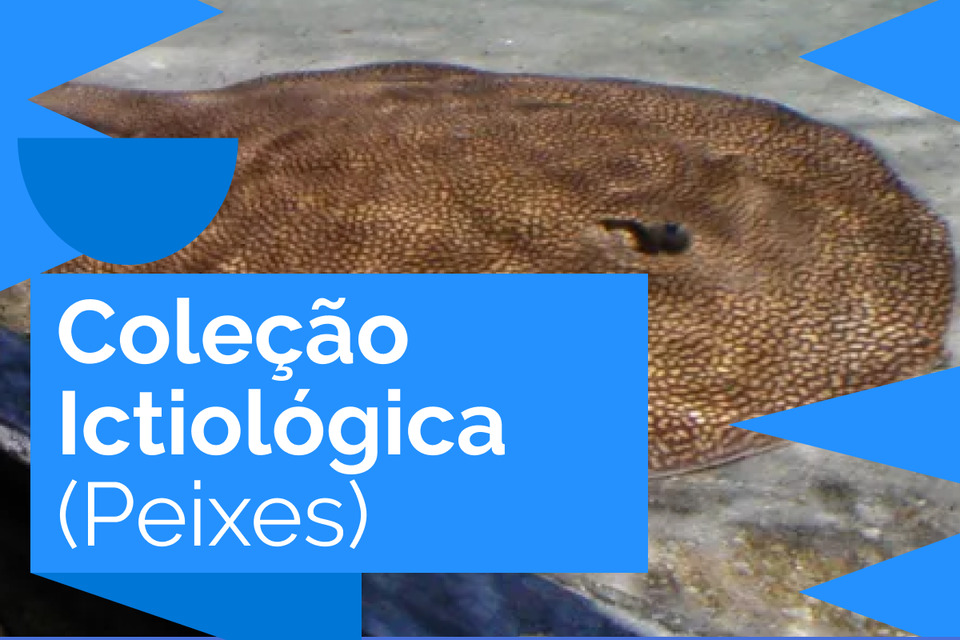 Coleção Ictiológica (Peixes)