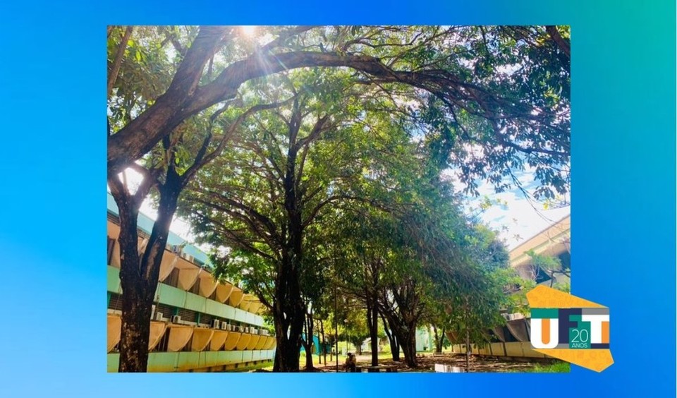 Árvores no campus de Palmas_Foto Gihane Scaravonatti