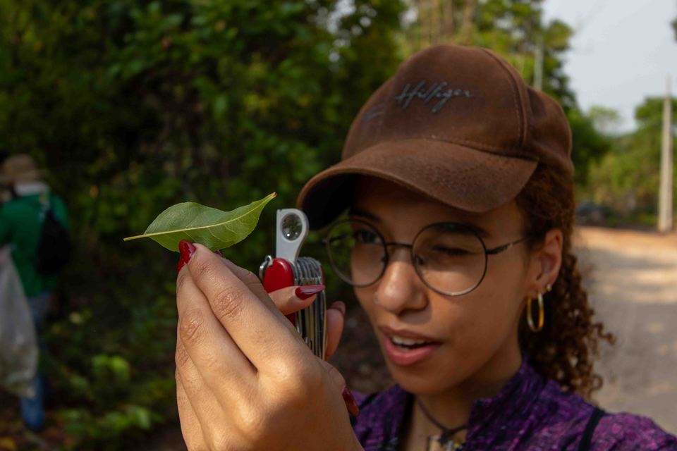 Seleção de Doutorado em Biodiversidade e Biotecnologia oferece 171 vagas para ingresso em 2026