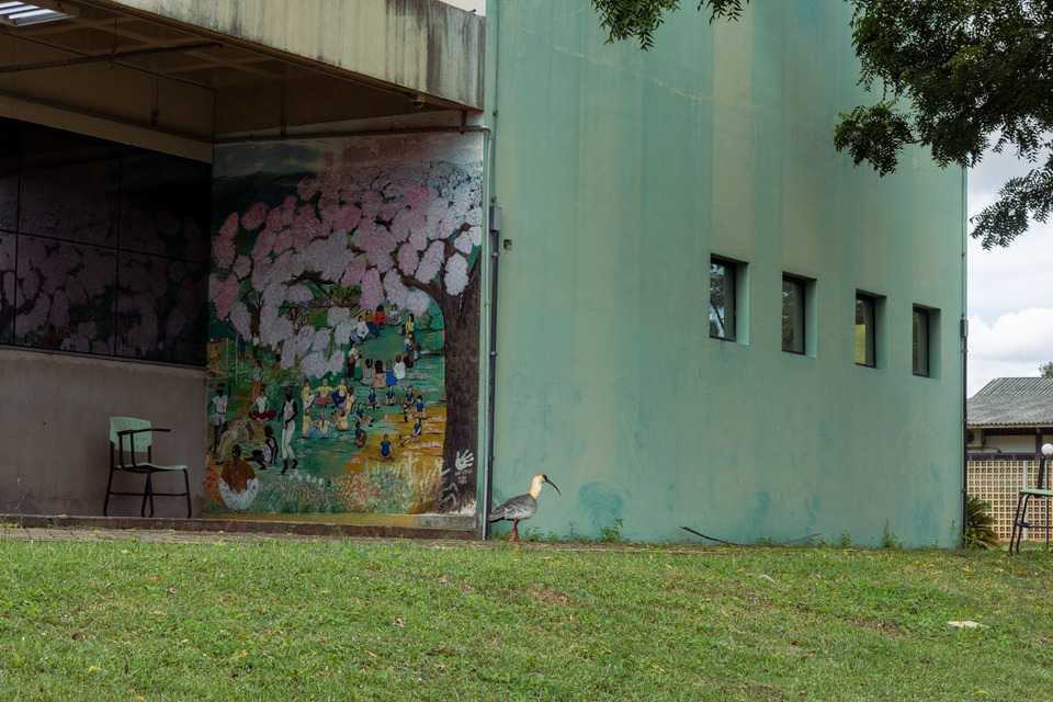 Pesquisadores do Opaje participam de colóquio internacional sobre saberes ancestrais e justiça climática