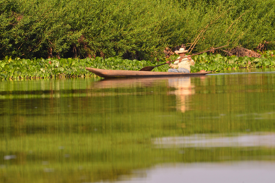 Pescador tardicional, Ribeirinho, Alimentação, Serviços Ecossistêmicos, Pantanal, Cultura Pantaneira